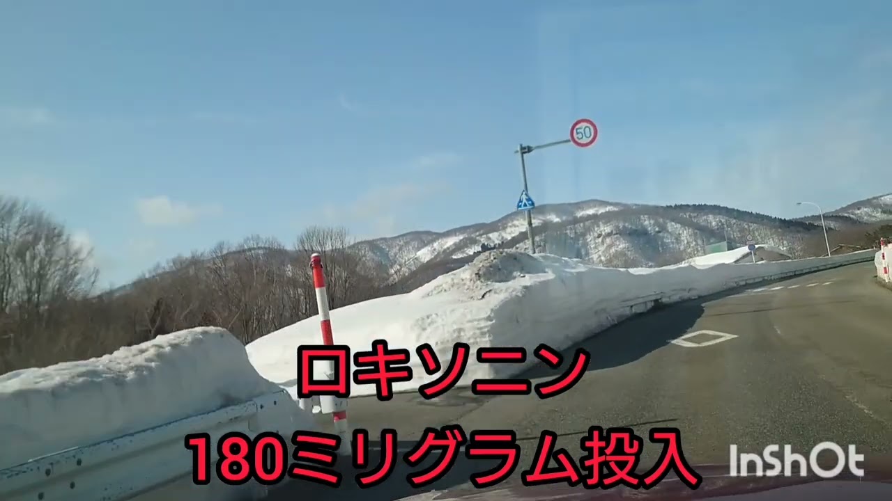 Vlog 3日ぶりのスキー　ロキソニンテスト