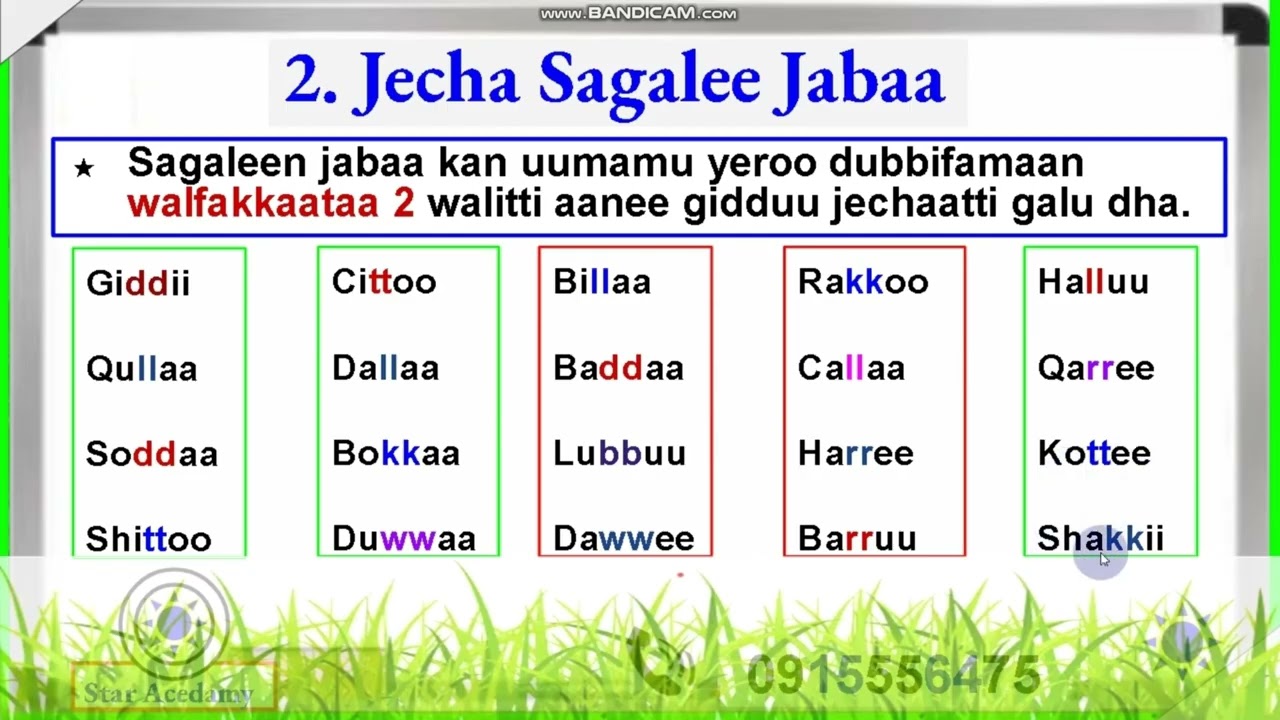 Jecha sagalee jabaa #afaan Oromoo 