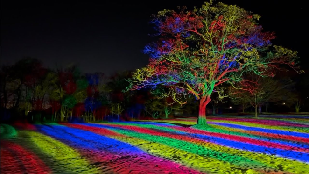 Winter Wonders at Royal Botanical Gardens