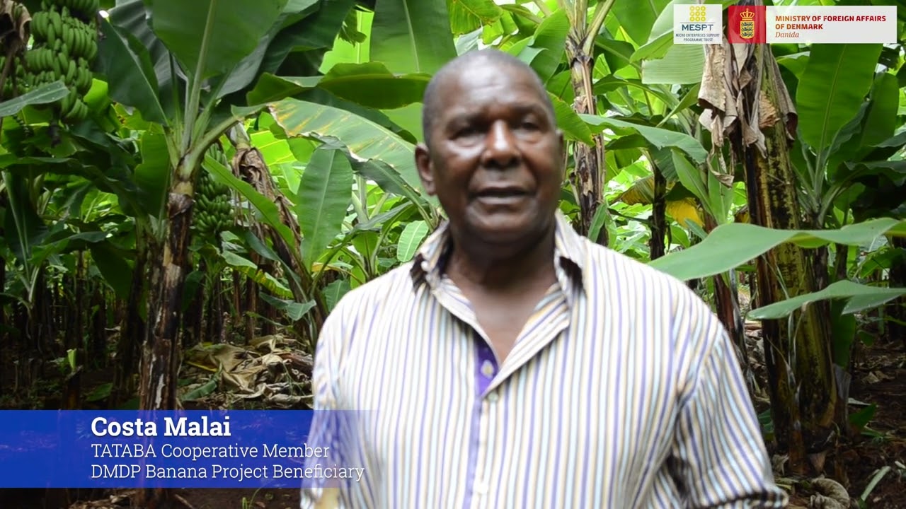 DMDP Banana Project Testimonial on Access to Market Partnership.
