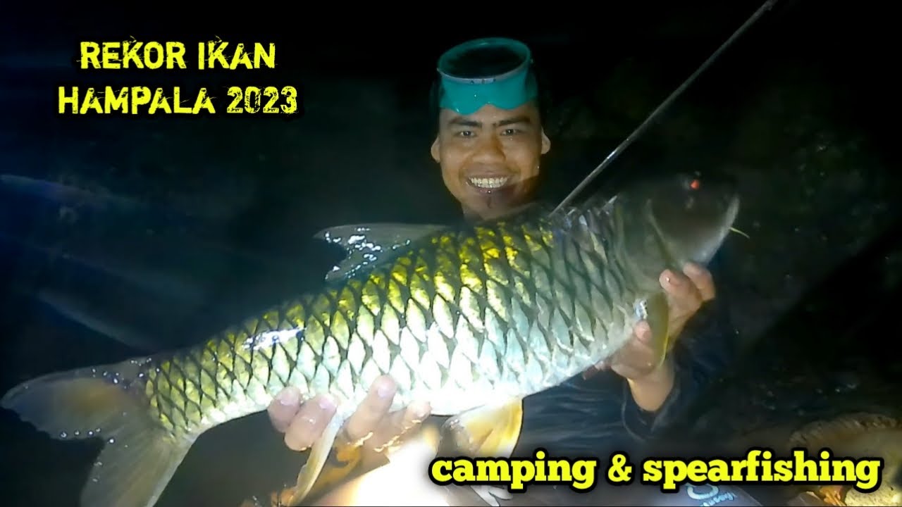CAMPING & Spearfishing , bermalam di hulu sungai demi ikan hampala segede Badan ...!!