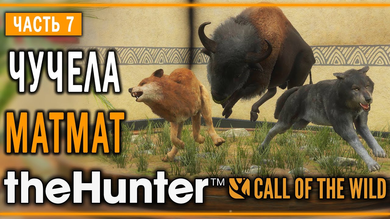 theHunter Call of the Wild #7 🐺 - Дерзкий Бизон - Кoмпозиции из Чучeл