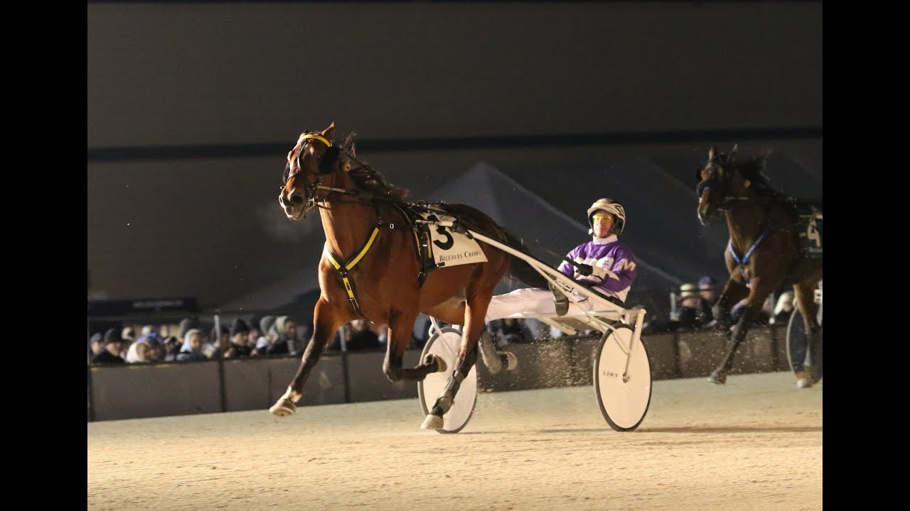 Breeders Crown 3-Year-Old Colt Trot – What The Hill