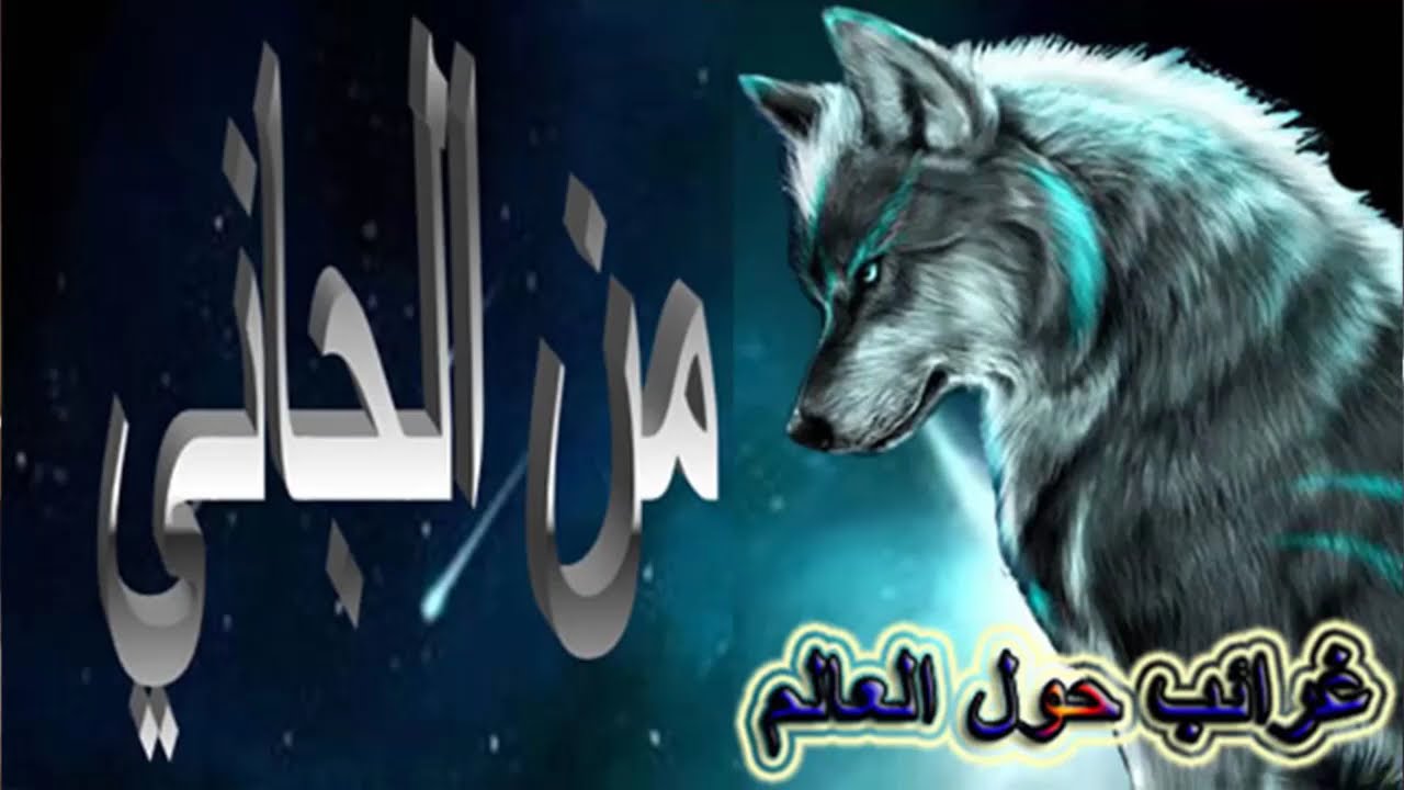 أغرب القضايا & من الحياة & من أرشيف المحاكم & من الجاني & حلقات مجمعة  2