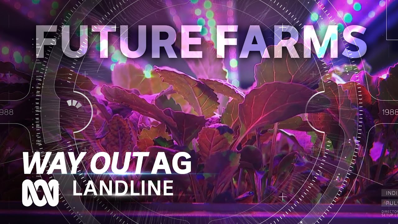 Farms of the Future: the way we grow food is changing 🍆🍅 | Way Out Ag Ep2 | ABC Australia