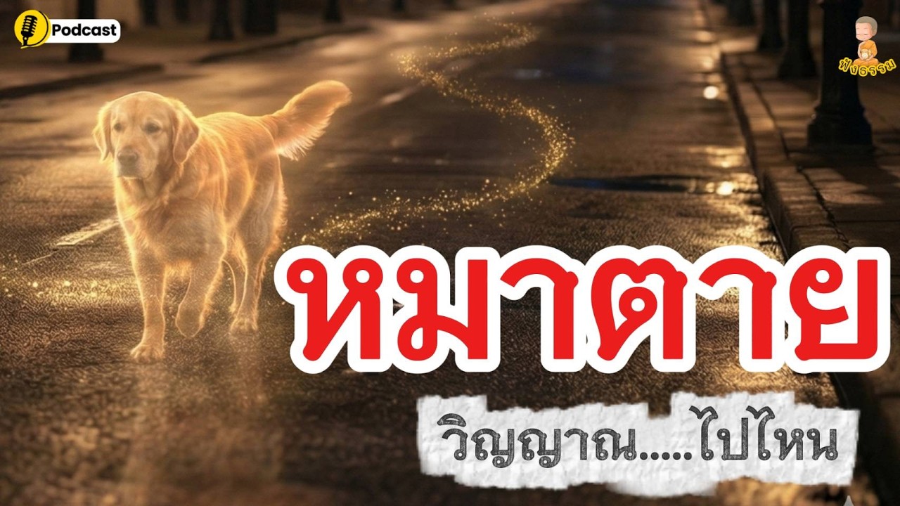 หมาตาย...วิญญาณไปไหน!!  I @เสียงสีขาว  #ฟังธรรม #buddha  #ธรรมะสอนใจ #เมตตาบารมี