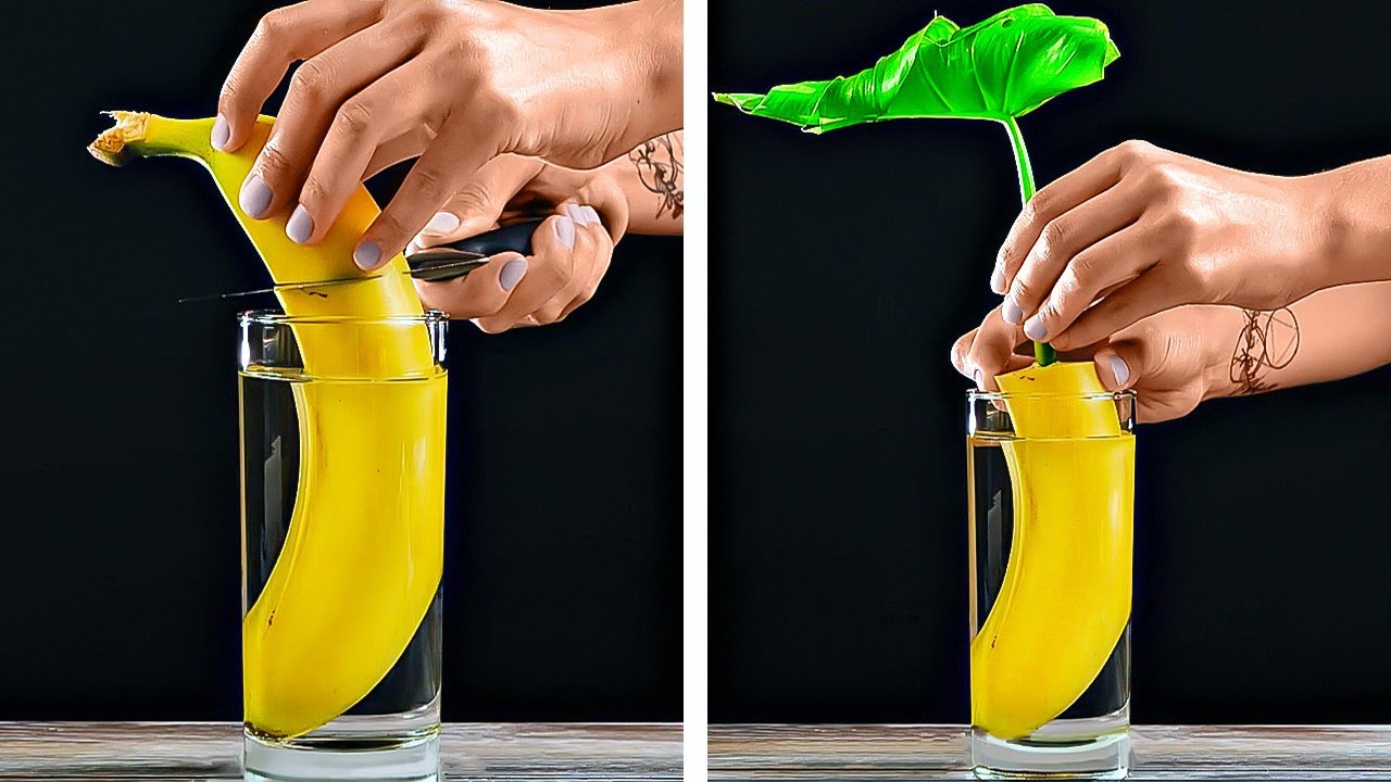 Truques Fantásticos Com Plantas e Ideias DIYs Para Jardinagem