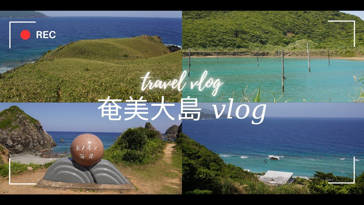 【奄美大島Vlog】2泊3日奄美大島レンタカー1人旅｜綺麗な海や美味しいグルメを満喫 ＜ハートロック/宮古崎/ホノホシ海岸/ホテルサンデイズ奄美/鶏飯/黒糖焼酎＞