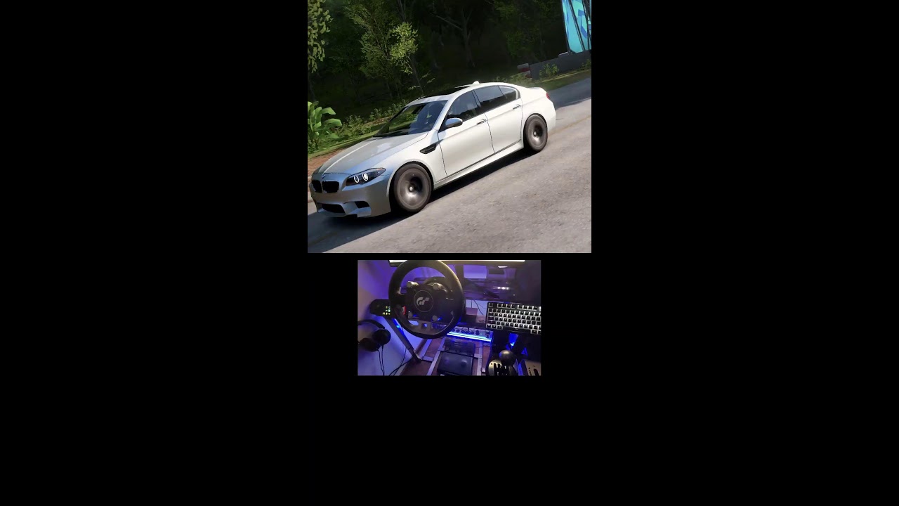 Forza Horizon 5 Live steering wheel