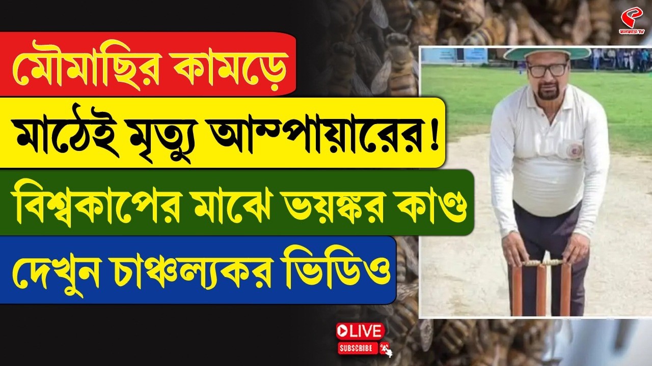 Kanpur Incident | মৌমাছির কামড়ে মাঠেই মৃ/ত্যু আম্পায়ারের! বিশ্বকাপের মাঝে ভ/য়ঙ্ক/র কাণ্ড