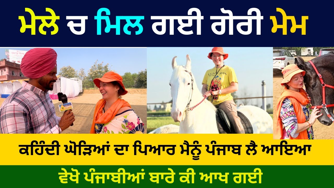 ਮੇਲੇ ਚ ਪੰਜਾਬੀ ਮੁੰਡਿਆਂ ਨੂੰ ਮਿਲ ਪਈ ਗੋਰੀ ਮੇਮ, ਘੈਂਟ ਗੱਲਬਾਤ #punjabi #punjab #horse #horsefair #mela