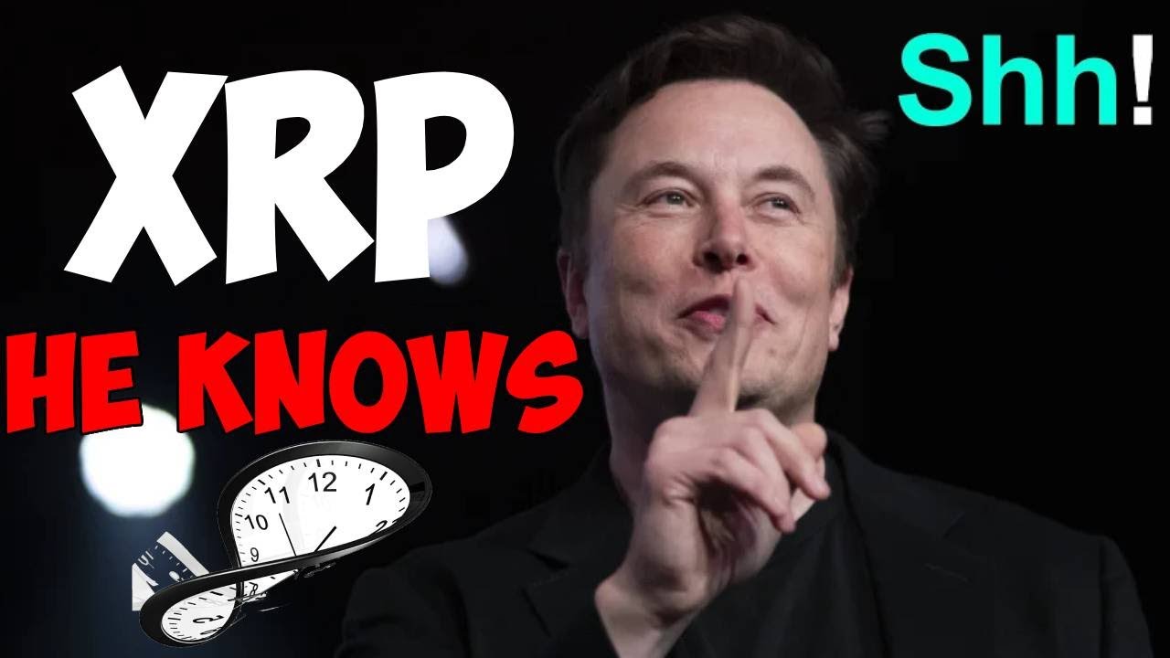 Ripple XRP Илон Маск подтвердил, что мистер Пул &mdash; путешественник во времени Боже мой!