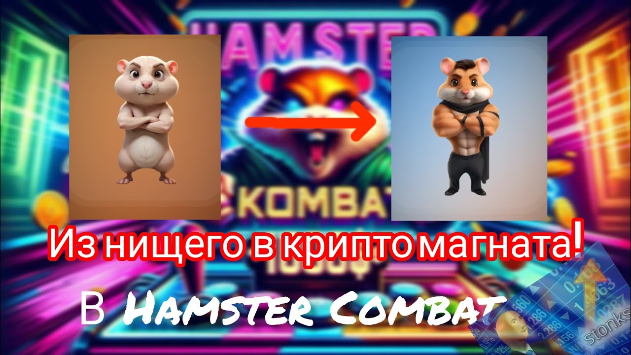 От нищего до крипто магната в Hamster Combat под лютый фонк!