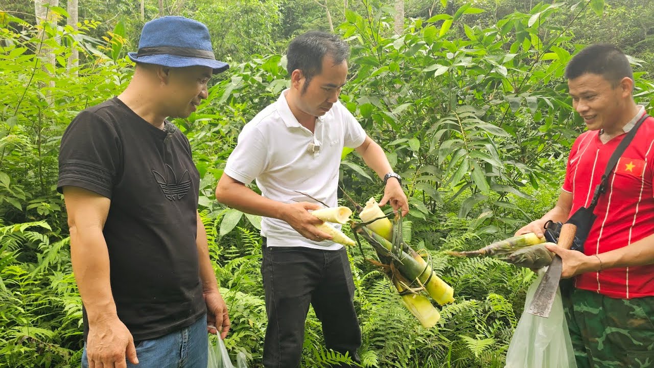 Trong Thung Lũng rừng già măng rau Vịt cỏ xanh lét toàn món ngon. Nguyễn Tất Thắng