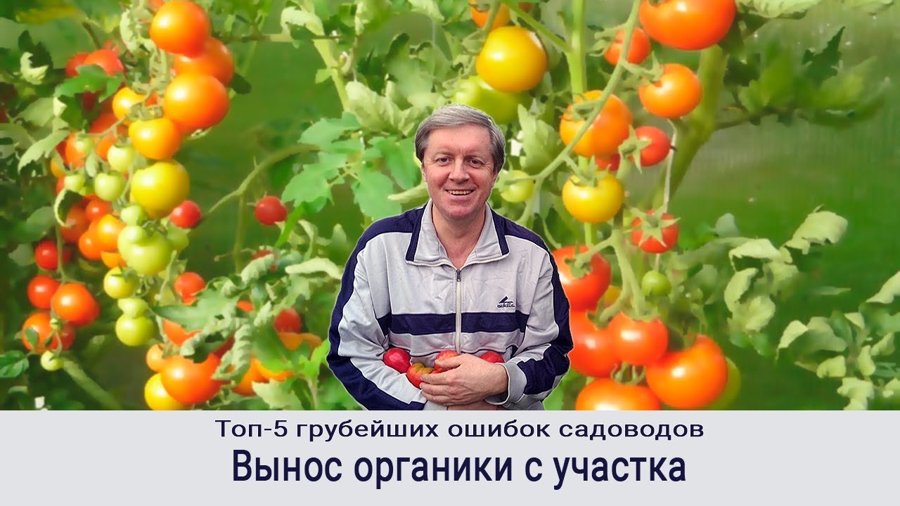 191119 5 ошибок садовода. 2. Вынос органики