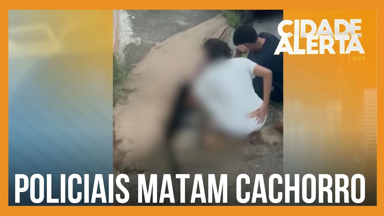Policial erra endereço de mandado, invade casa e mata cachorro em Belo Horizonte