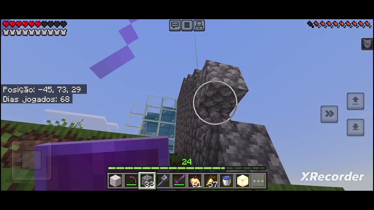 Mudei meu pet de lugar no minecraft 