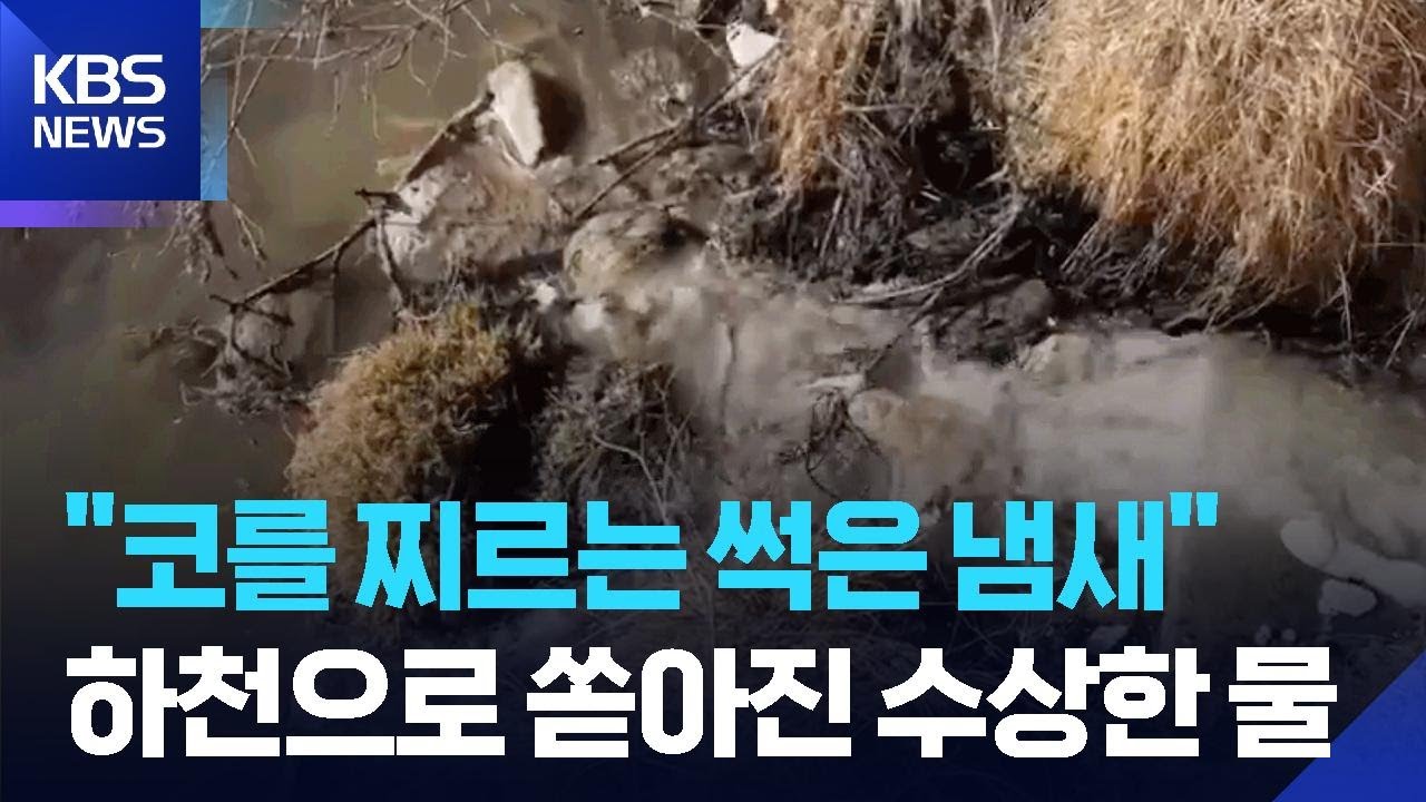 하천으로 생활오수 ‘콸콸’…범인은 공공시설 / KBS  2026.03.05.