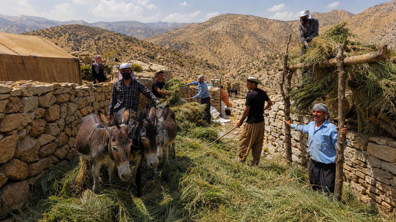 🏕️ Preparing the Kuhgol family for migration | Starting a difficult journey in the mountains ⛰️⛺️