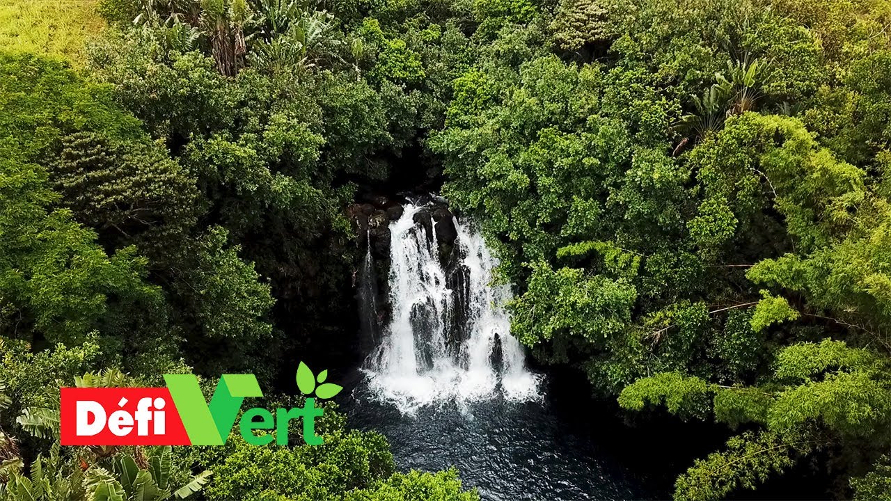 Découverte : les bassins mystérieux d'Eau-Bleue