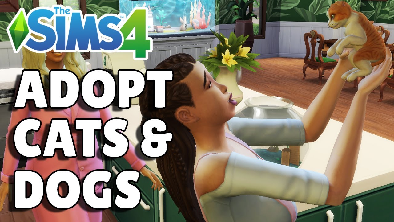 Как завести питомца | Руководство по игре The Sims 4 «Кошки и собаки»