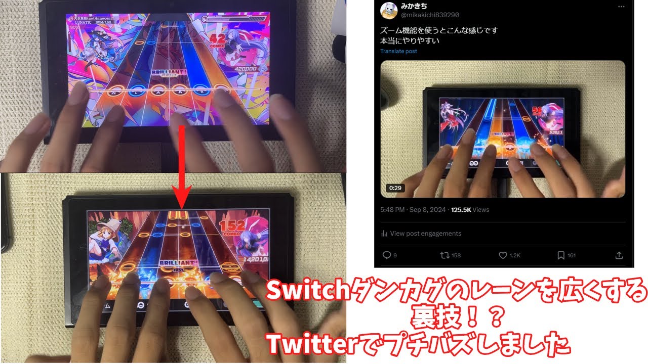 【ゆっくりダンカグ】SwitchでLunaticをやりやすくなる設定をご紹介
