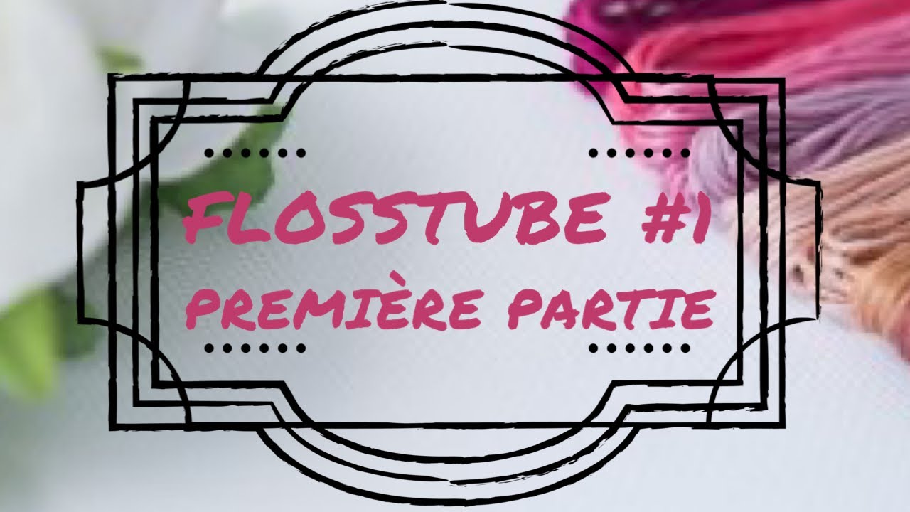 🪡 Flosstube 1, Première Partie #flosstube #crossstitch #pointdecroix #achats