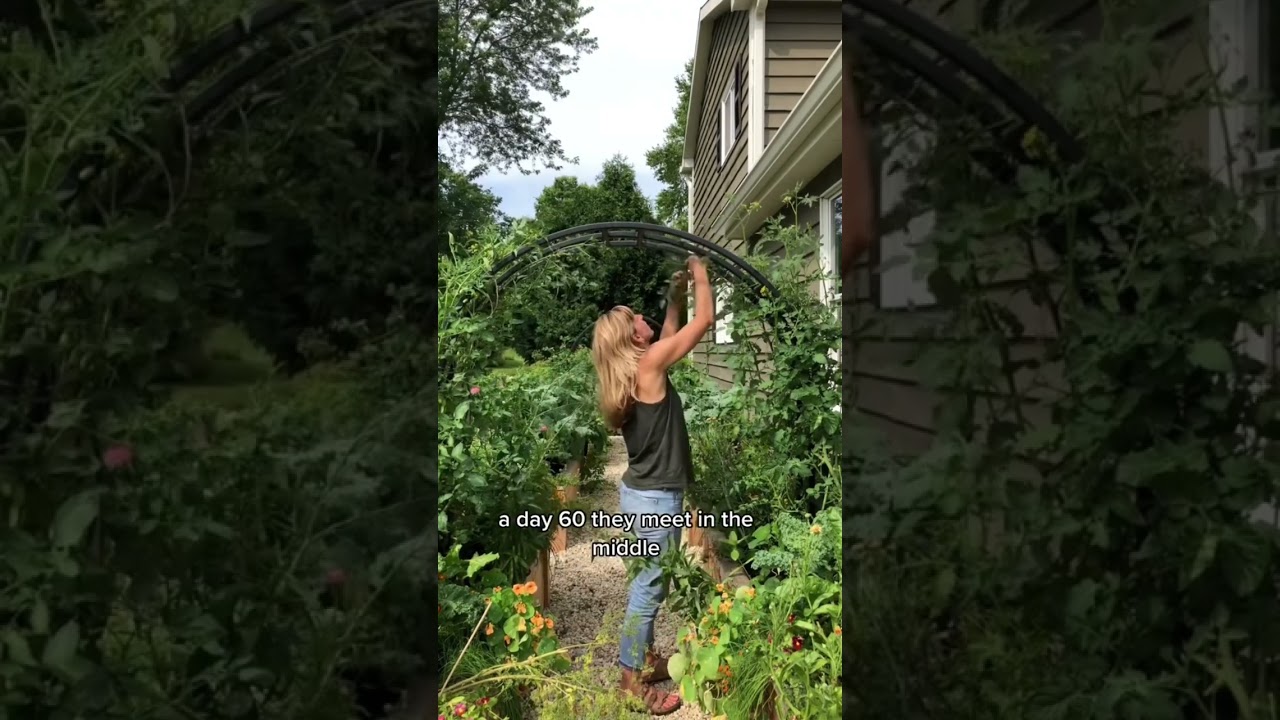 Here&rsquo;s How to Grow Tomatoes Over an Arch Trellis with Nicole Burke Founder of Gardenary