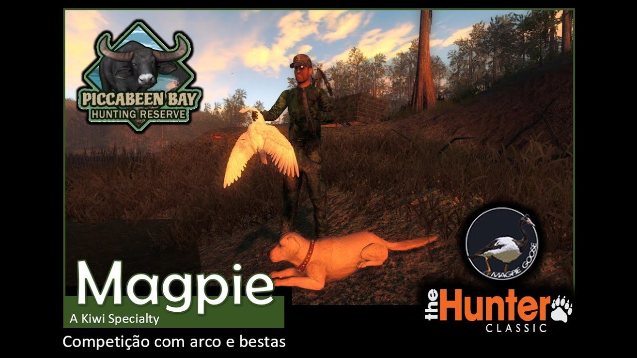 THE HUNTER CLASSIC - PICCABEEN BAY - magpie competição com arco e besta