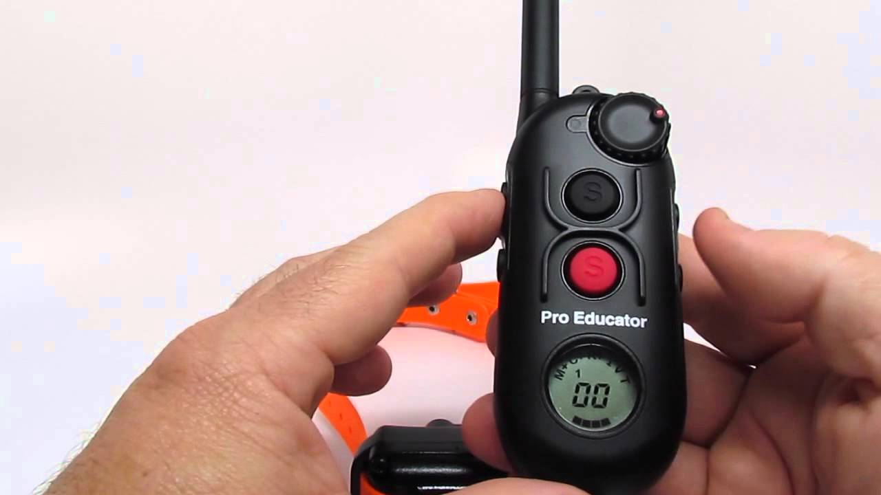 E-Collar Technologies Pro Educator PE-900 (How to)