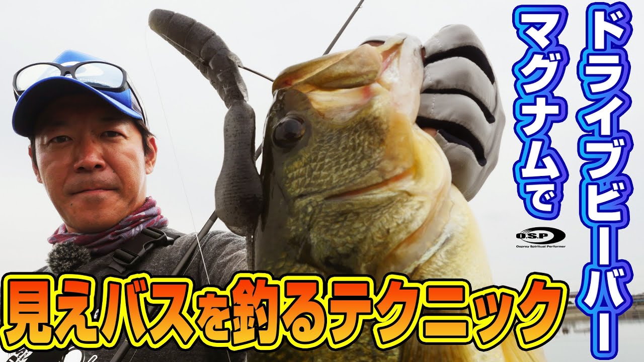 ドライブビーバーマグナムで見えバスを釣るテクニック！【浦川正則がビーバーマグナムのサイトでデカバスを捕獲】