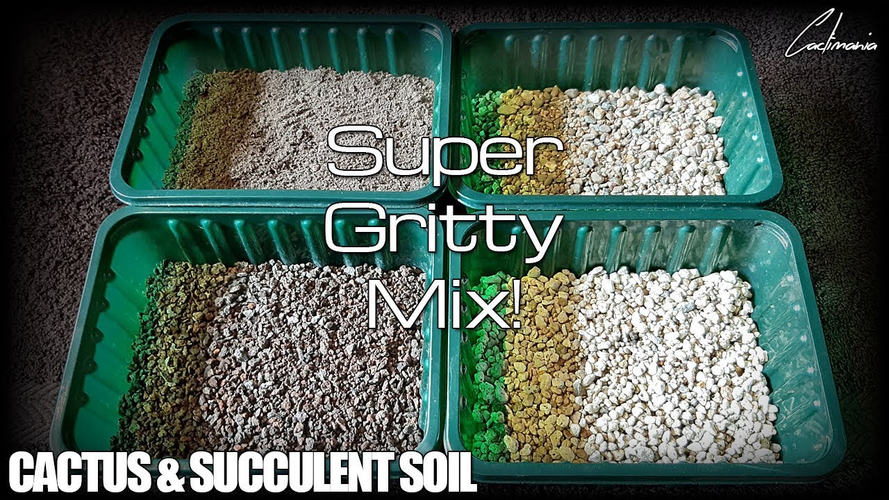Cactus & Succulent Soil Mix - What I use for my Plants