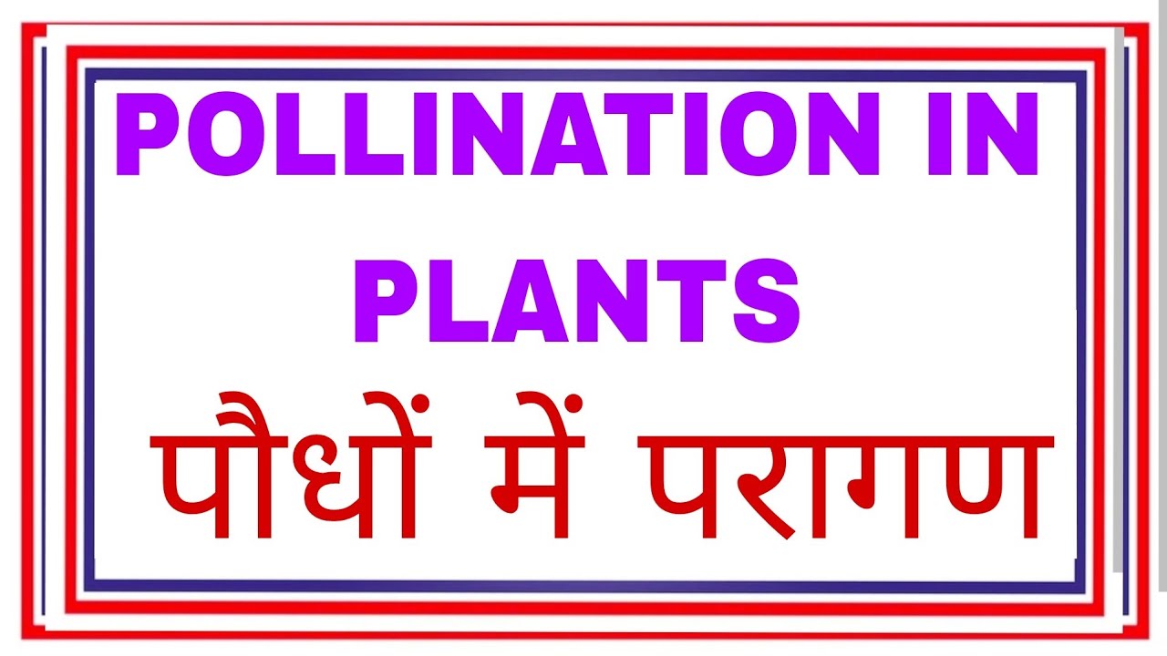POLLINATION IN PLANTS  | TYPES OF POLLINATION FULL EXPLANATION IN HINDI हिंदी में