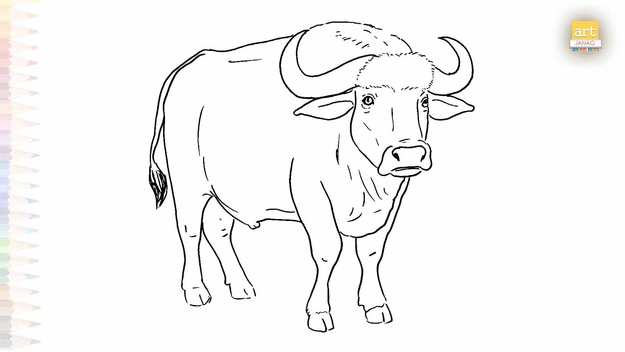 Buffalo outline drawings | Animal drawing tutorial | How to draw A Buffalo step by step | #artjanag