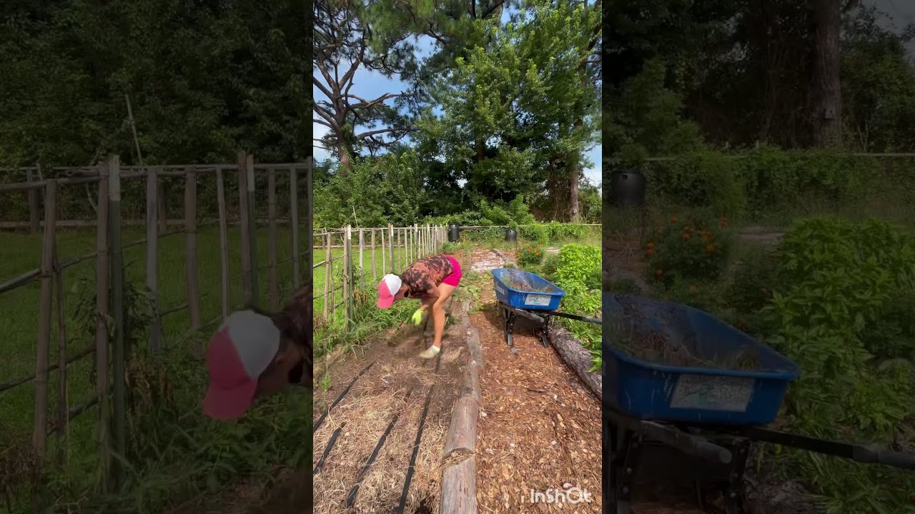 30 Minutes in the Garden #unstoppable #challenge