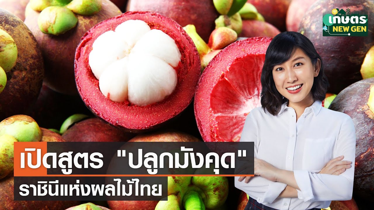 เปิดสูตร 