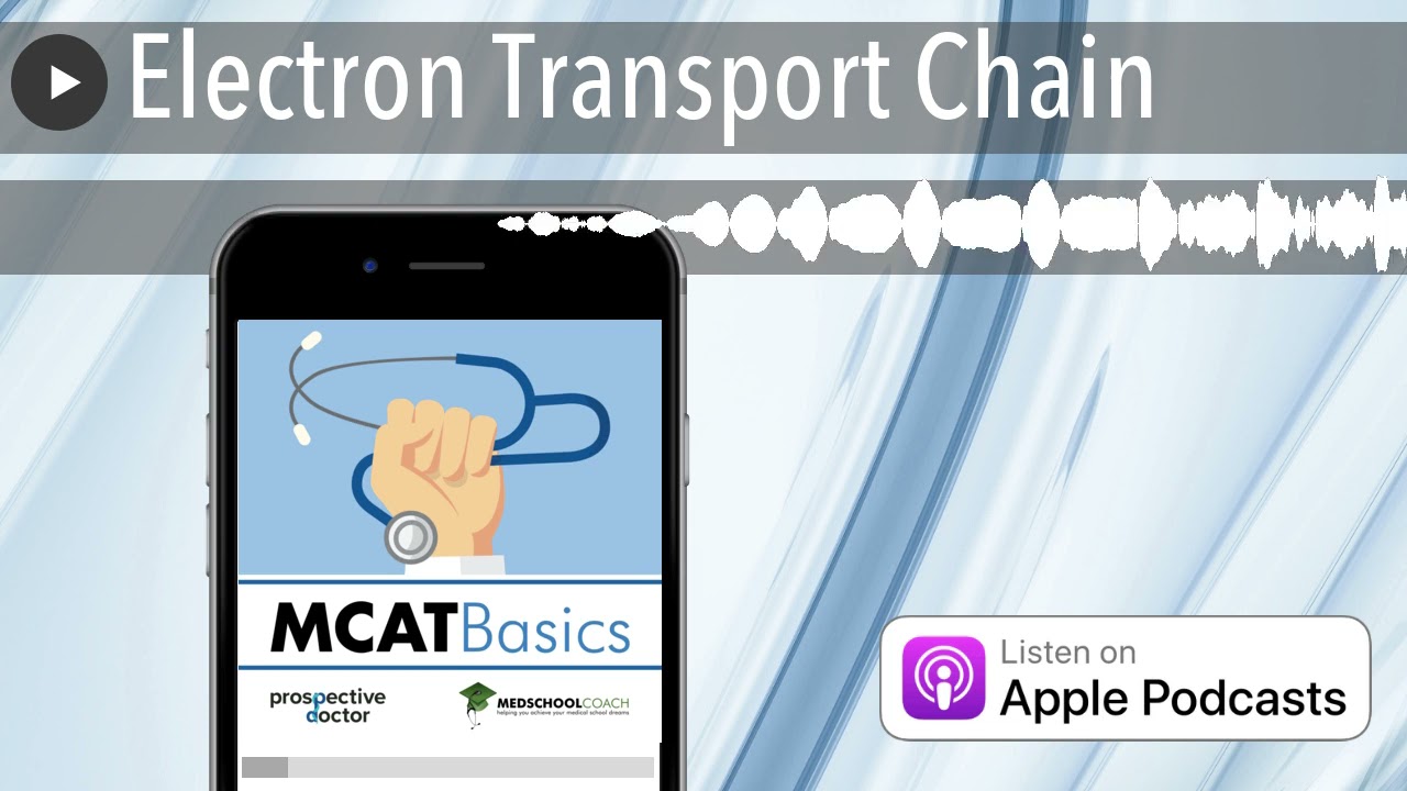 Electron Transport Chain
