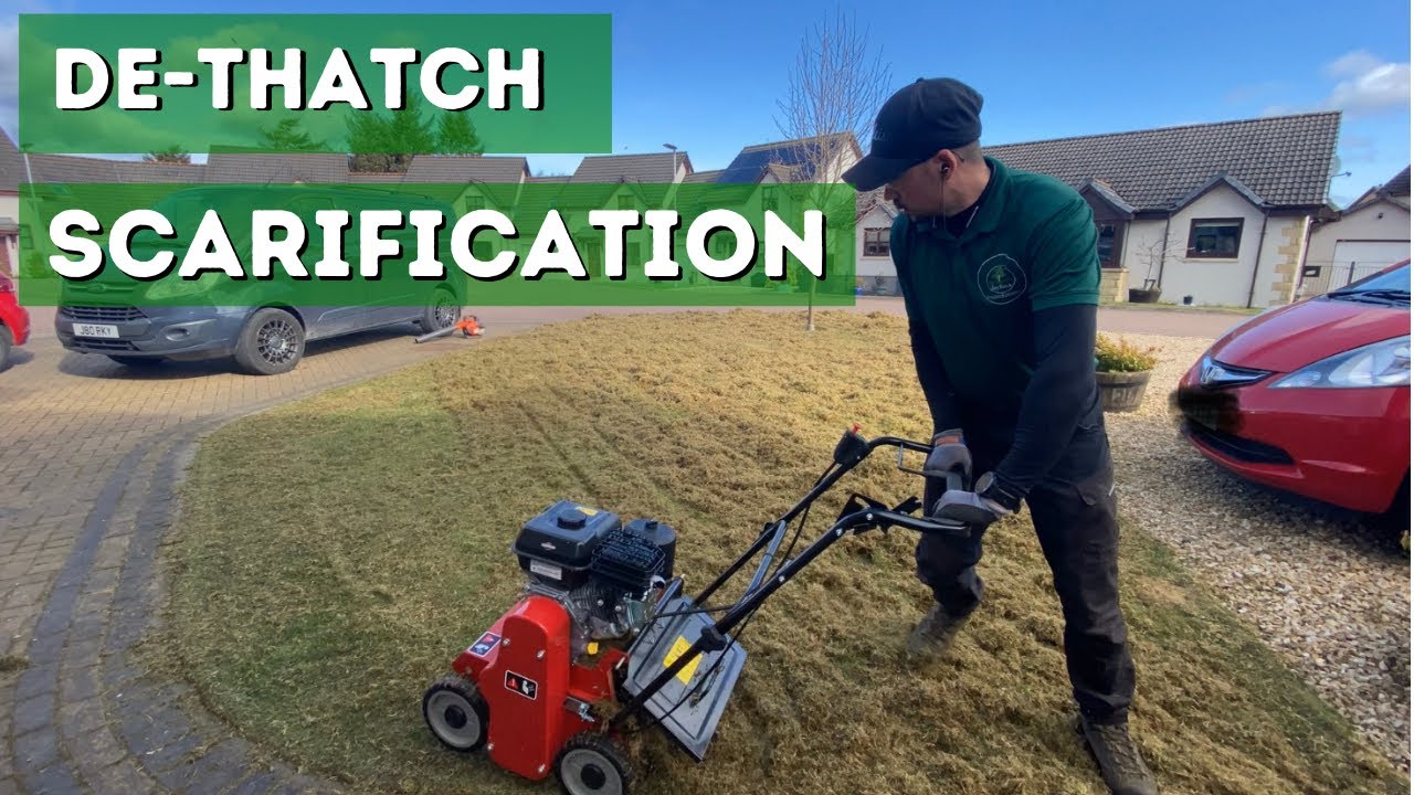 Can’t believe how much comes out of this lawn! Scarification // De-Thatch