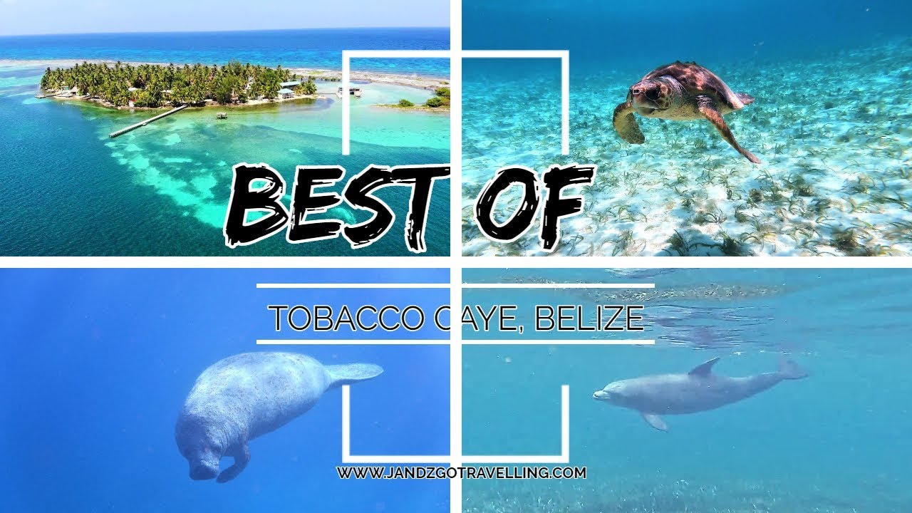 Best of Tobacco Caye Belize