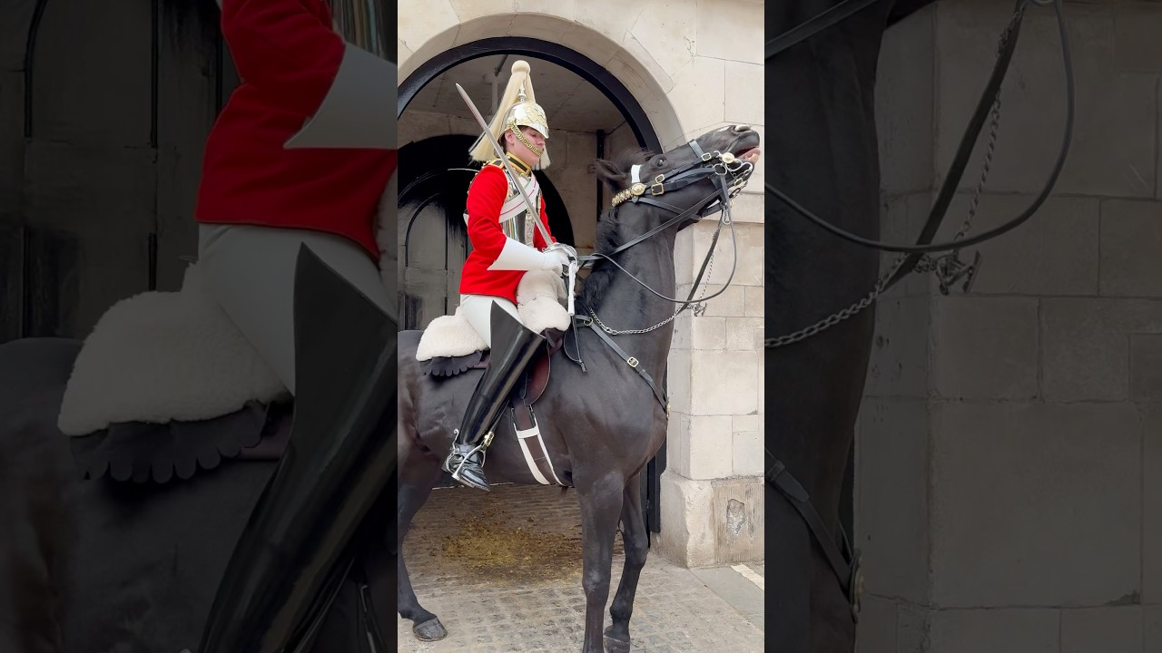 Masterful Horsemanship by the King's Guard! 🐴👑 #SHORTSFEED