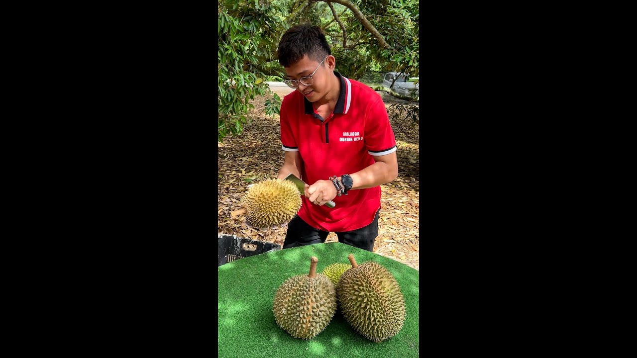 Must Try! Malaysian Durian Fruit Cutting Mater - Malacca Durian Heng