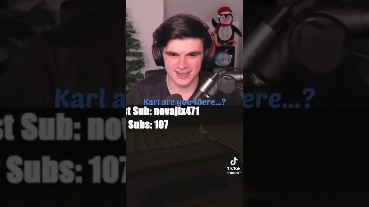 Dsmp tiktok