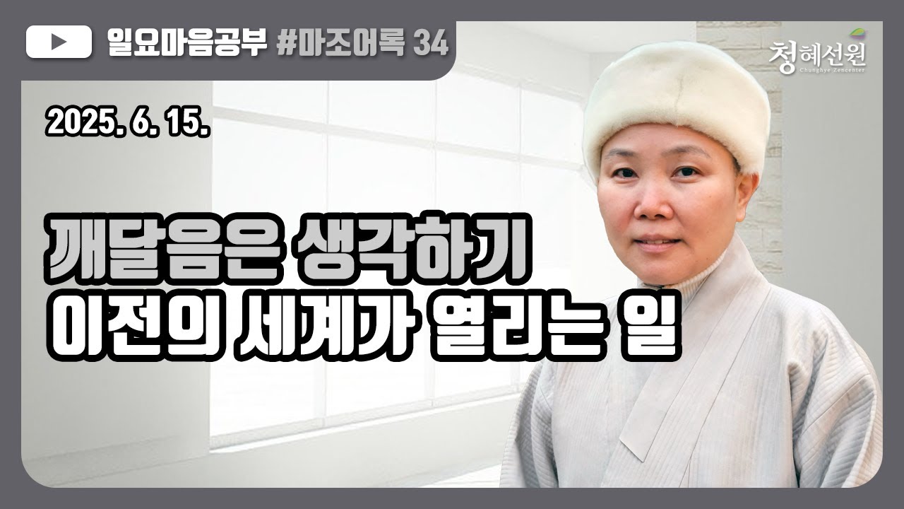 2025.06.15. [청혜선원] 일요공부ㅣ마조어록  제34회  26. 평등한 본성  