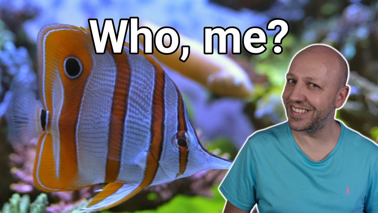 7 Mistakes EVERY Reefkeeper Makes!