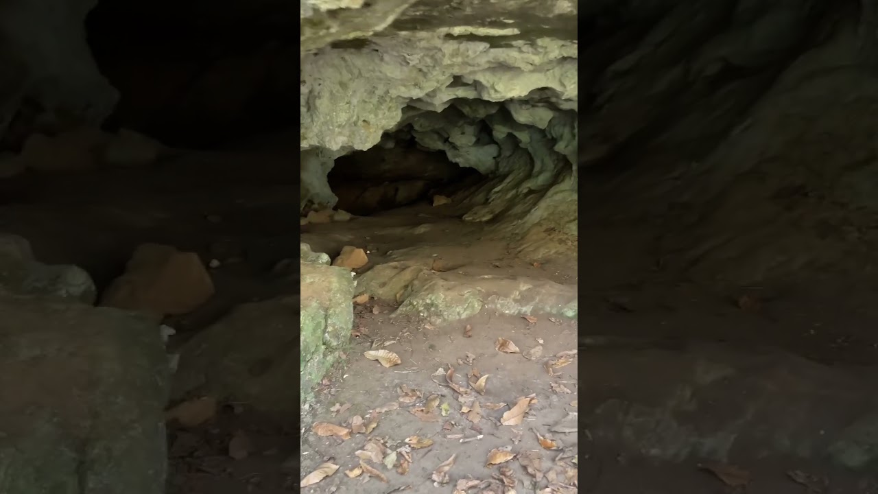Covarones de tuernes refugio de la nora #asturias  #short #shortvideo #shorts #cueva #explore