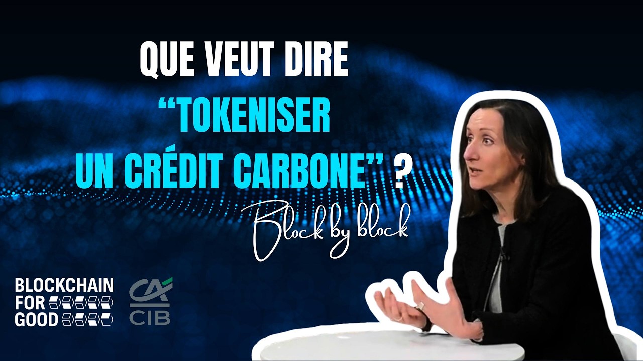 Que veut dire 