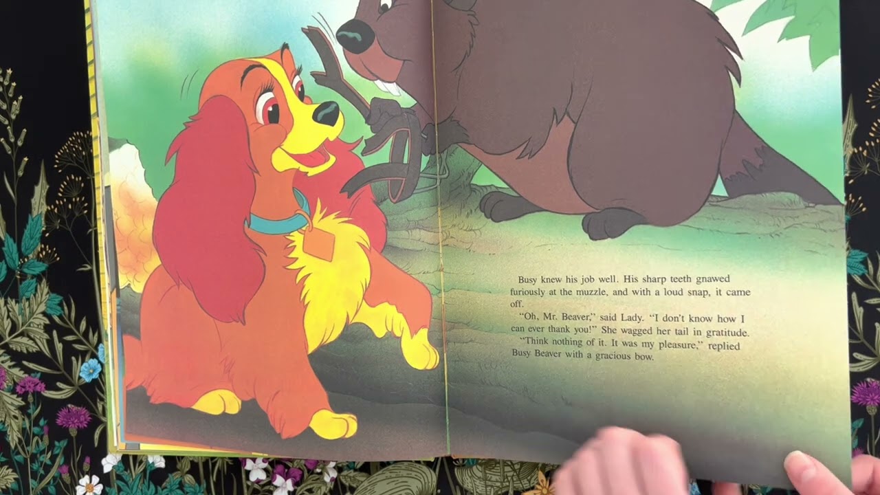 Walt Disney Lady And The Tramp!!