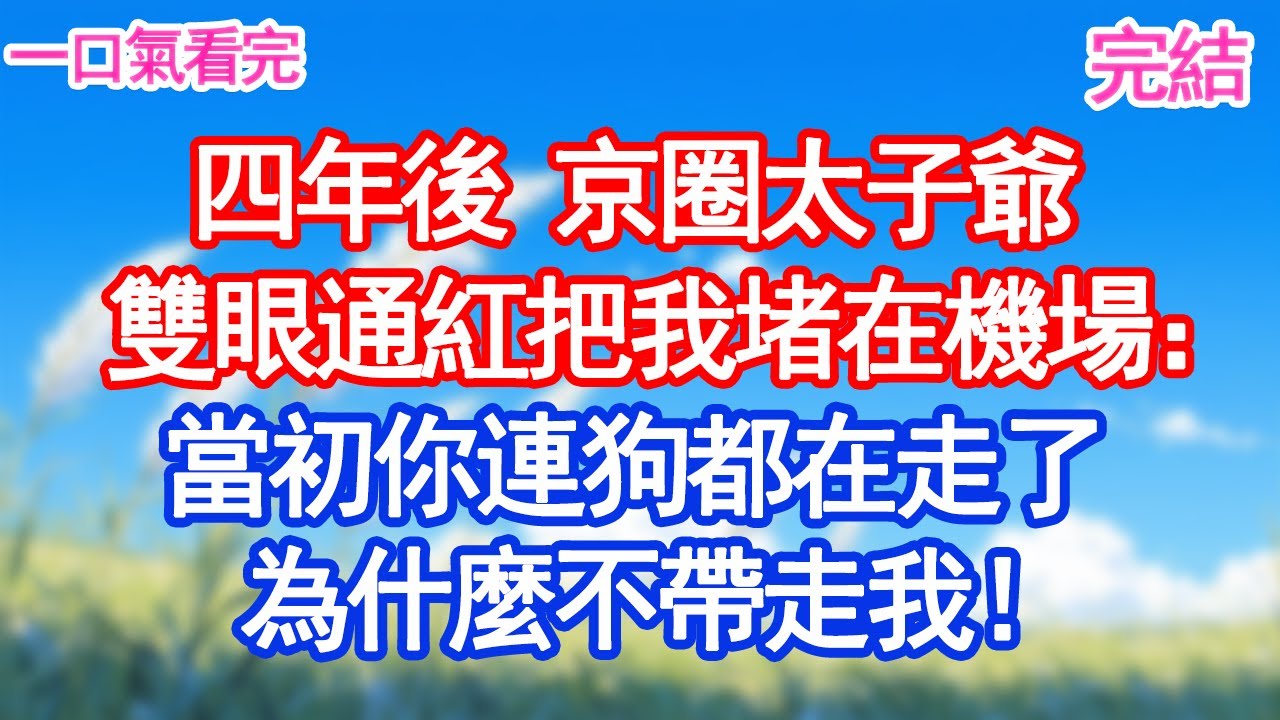 四年後 京圈太子爺雙眼通紅把我堵在機場：當初你連狗都在走了為什麼不帶走我！#愛情#爽文#故事分享