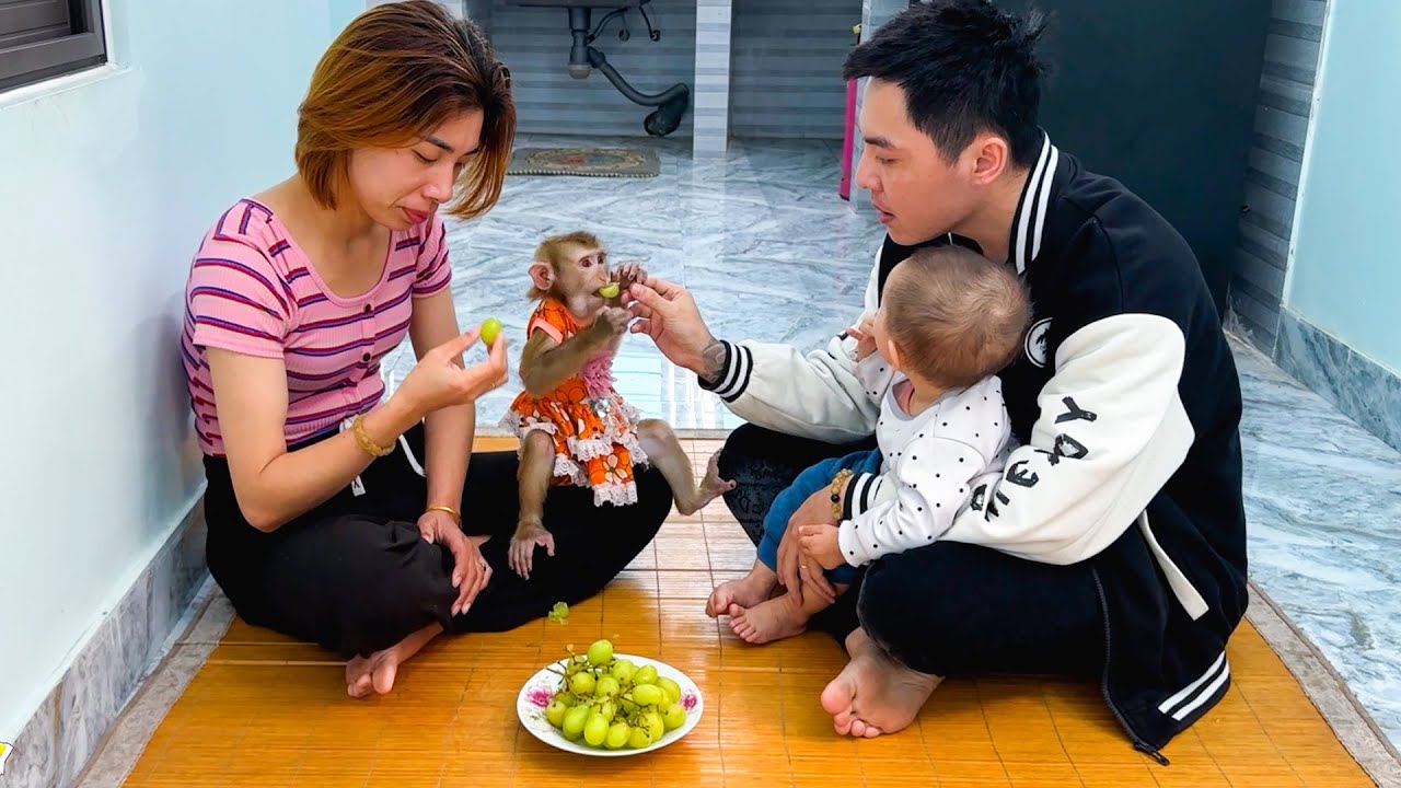Monkey Kaka's Adorable Reunion With Dad Will Make You All Emotional