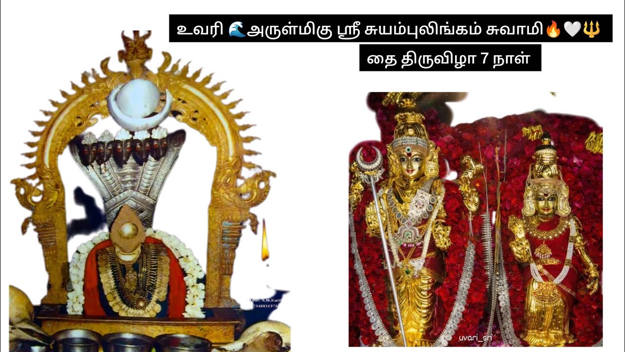 Good shivan உவரி சுயம்புலிங்கம் சுவாமி 💥🔥🤍🙏🔥